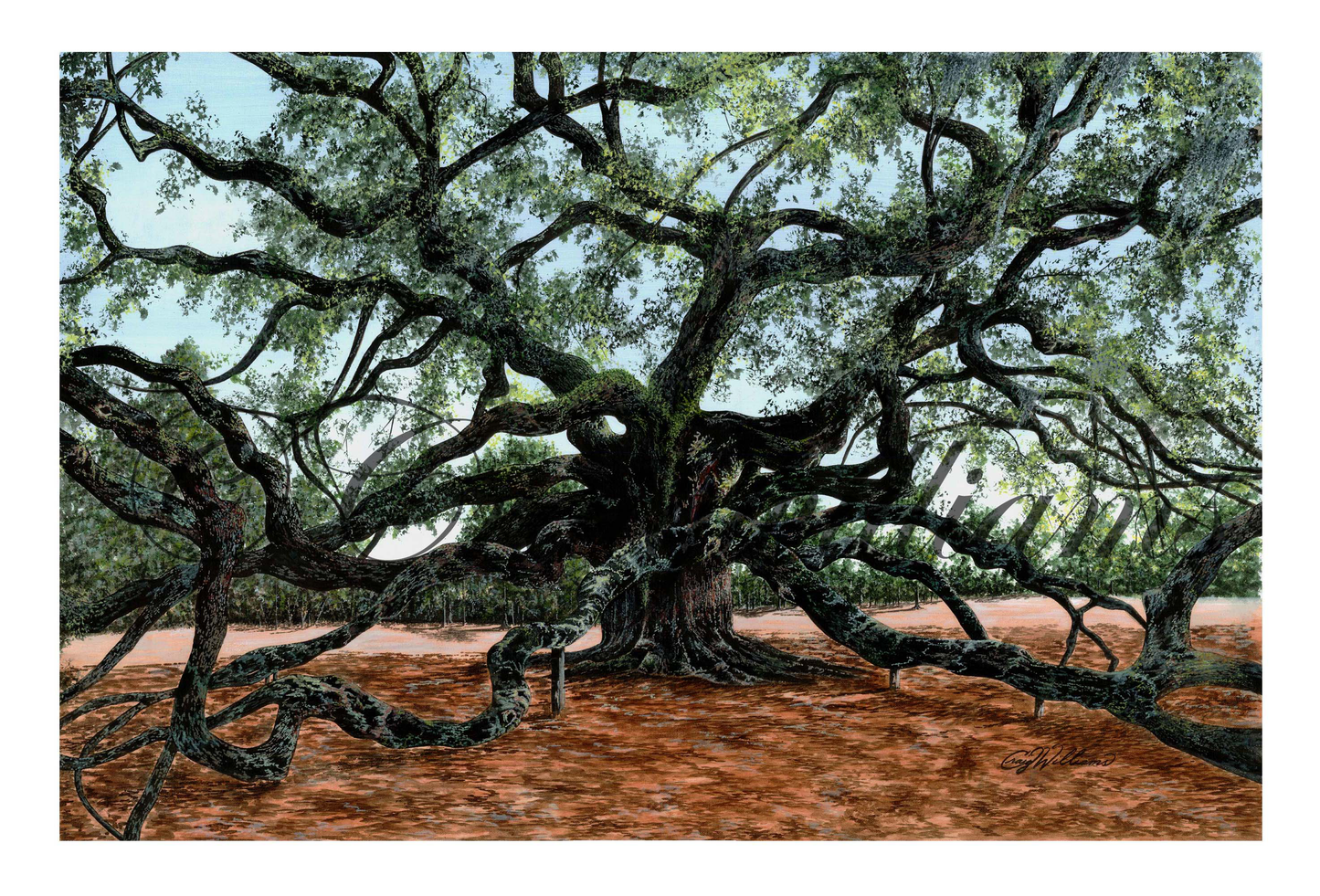 Angel Oak