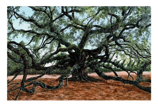 Angel Oak