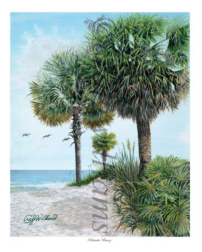Palmetto Breeze